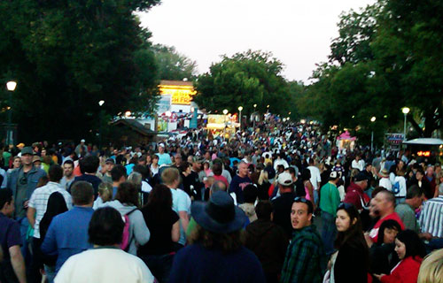 minnesota state fair 2010