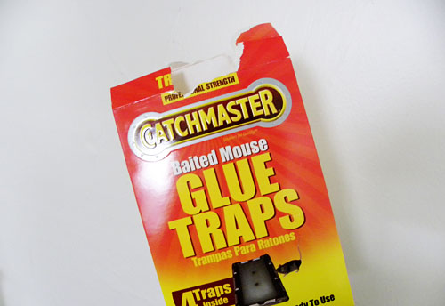 catchmaster glue traps