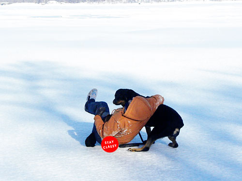 rottweiler frozen lake