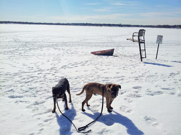 Lake Calhoun in Minneapolis during winter