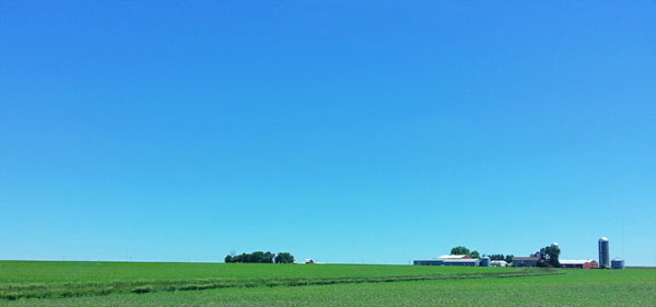 Iowa Fields