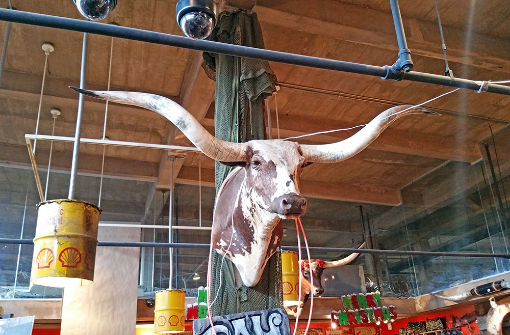 A mounted steer head at the leather shop.