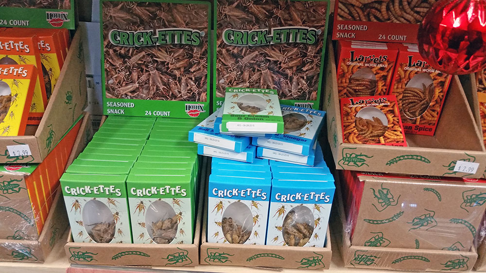 Edible crickets and other assorted bug snacks.