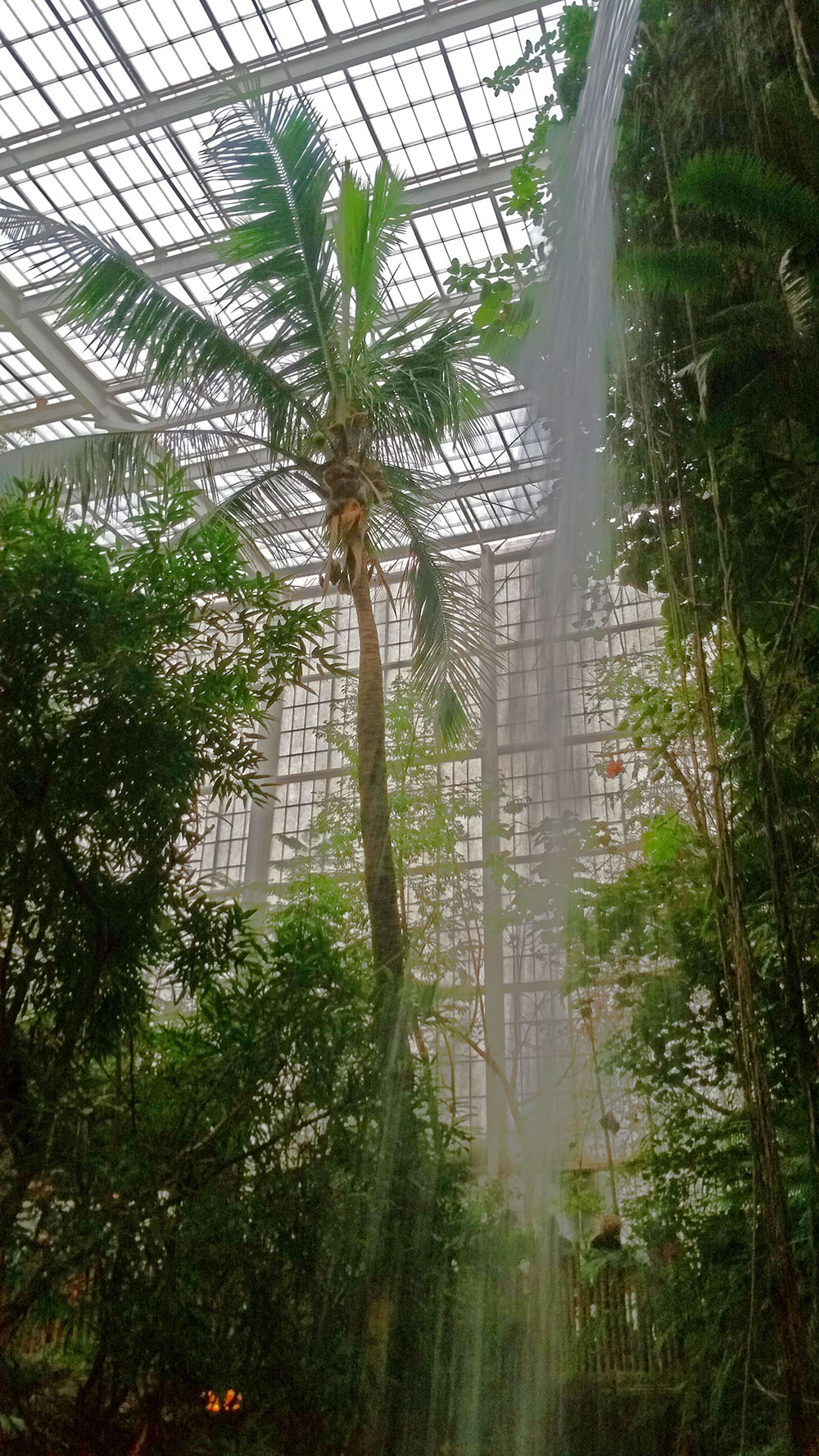 Jungle waterfall at the Dallas World Aquarium.