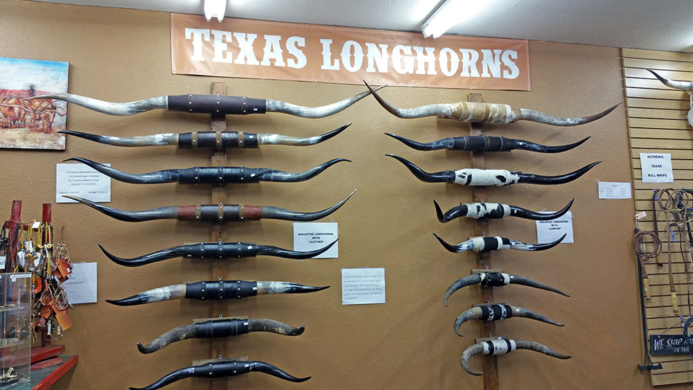 Texas Longhorns for sale.