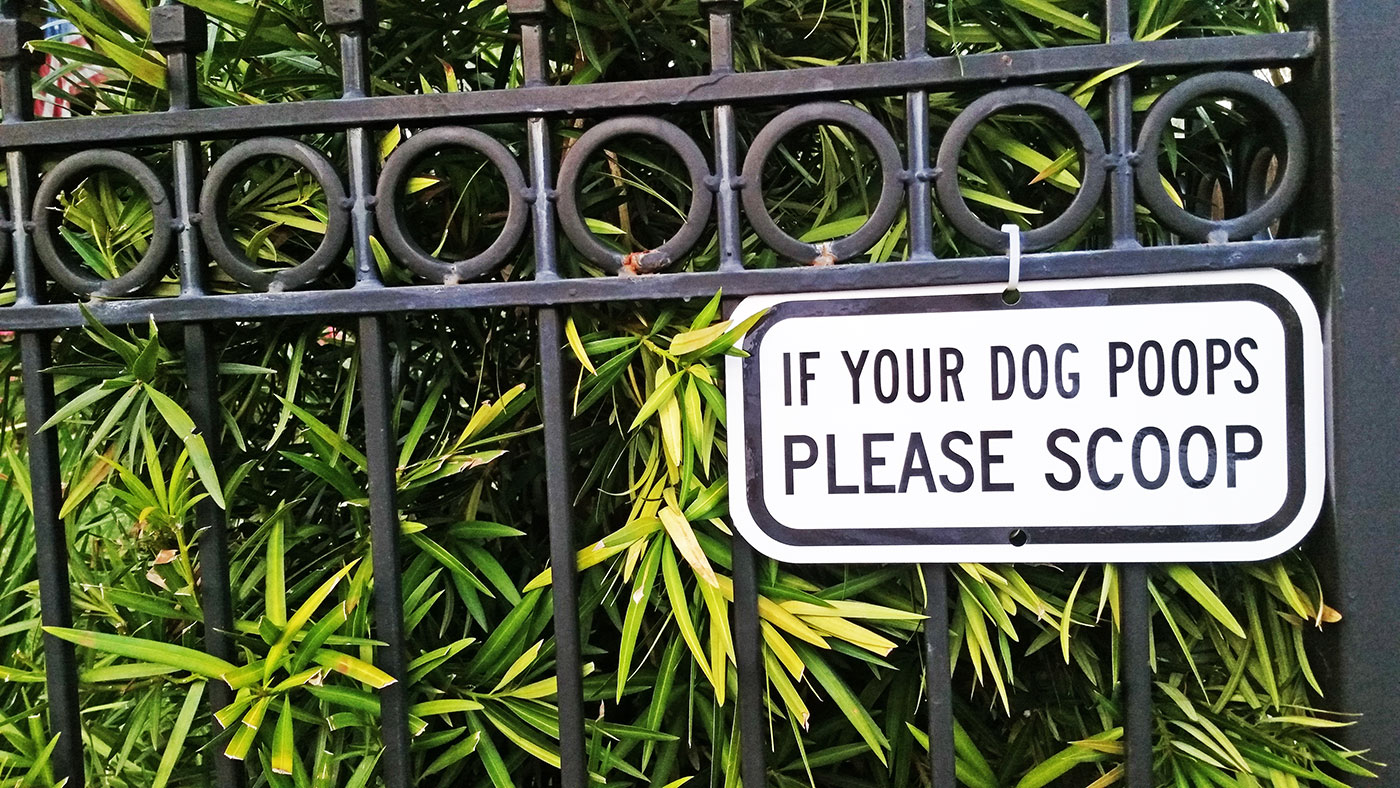 A dog pooping sign in the Oak Lawn neighborhood.