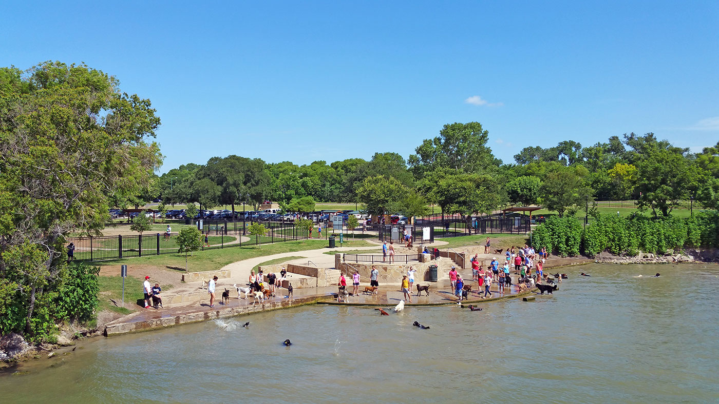 A busy day at the White Rock Lake dog park