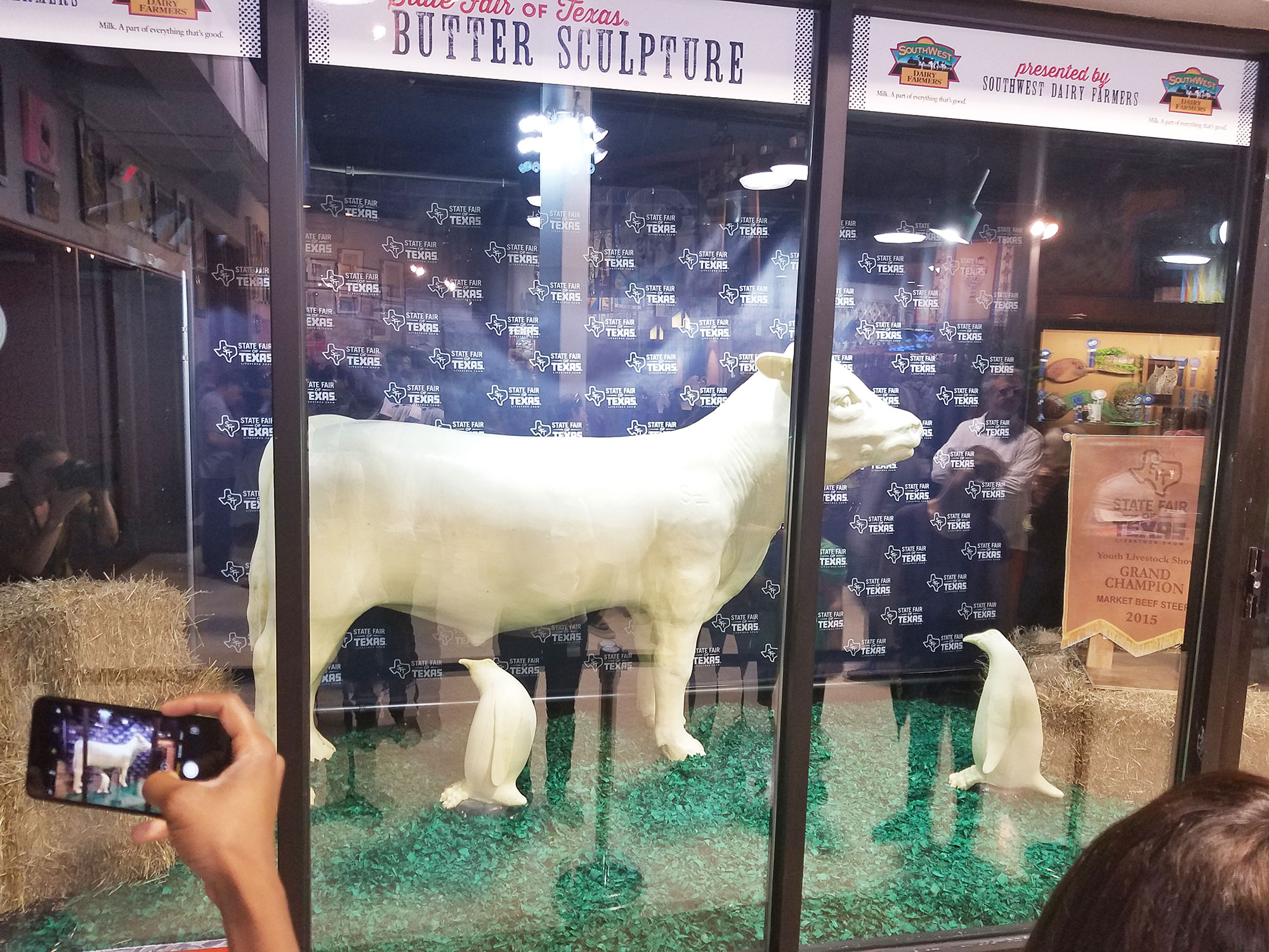State Fair of Texas butter sculptures. Why are the penguins eyeing the cow?