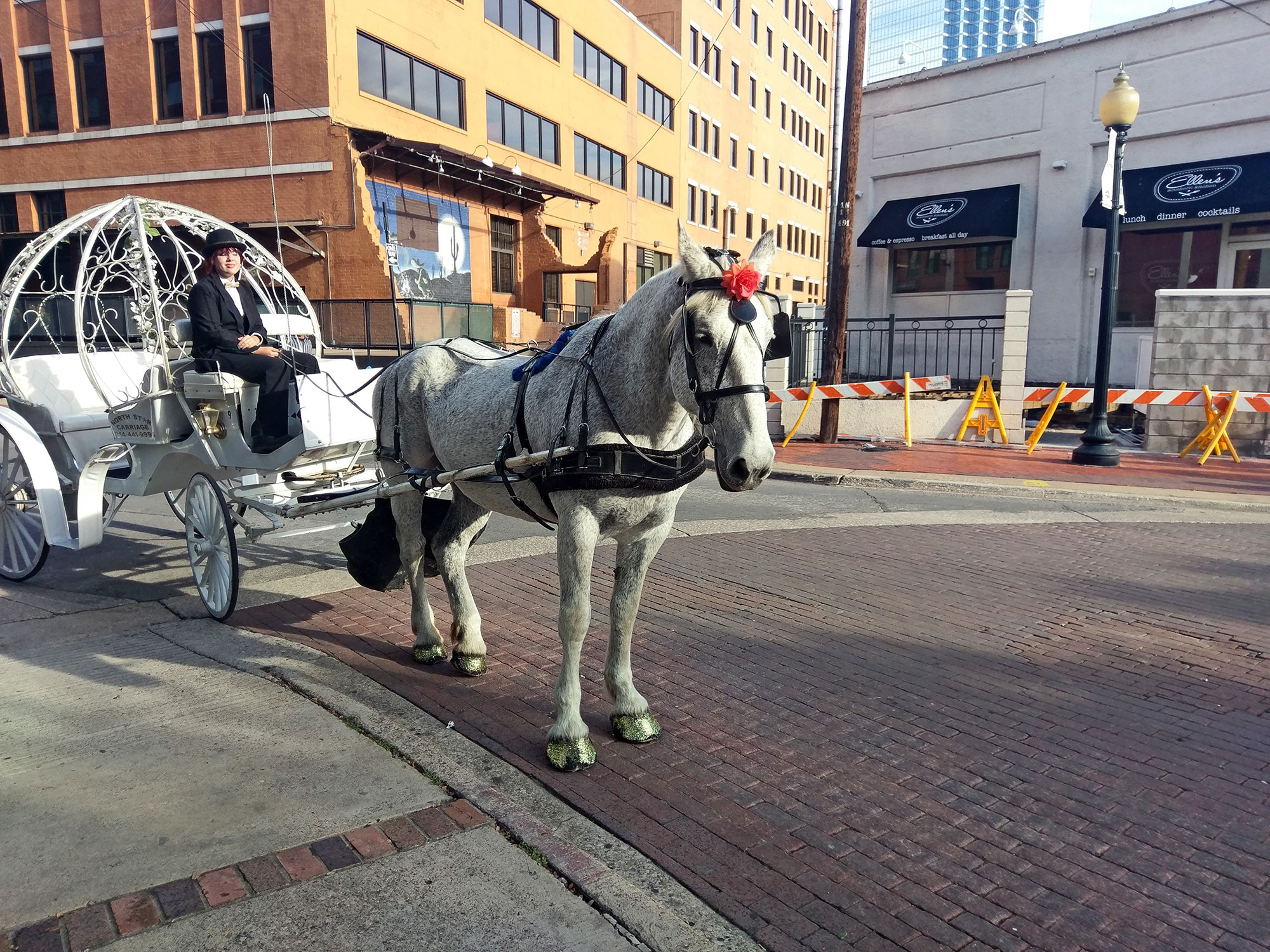 Horse and Carriage Dallas