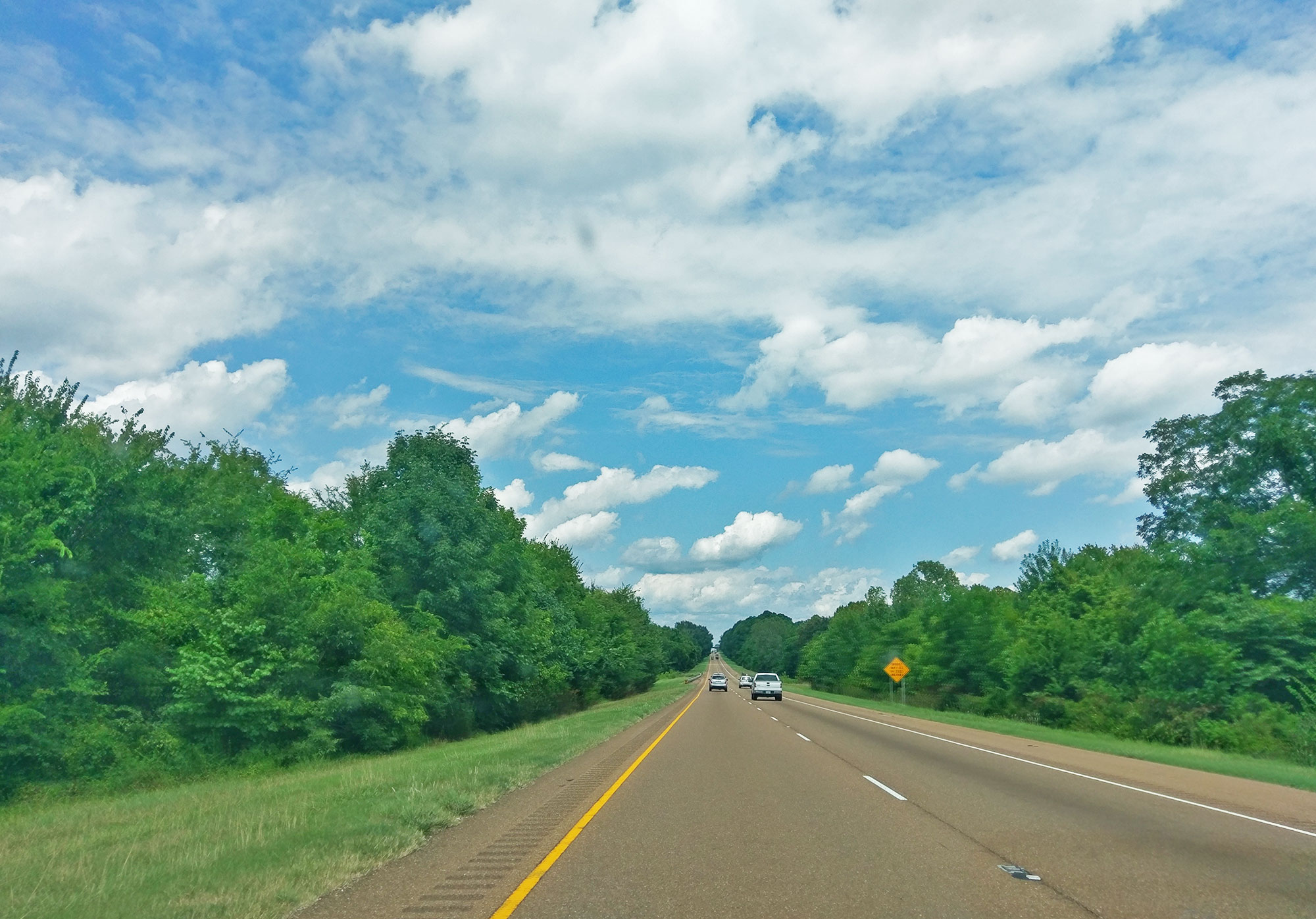 Tree-lined Arkansas highways.