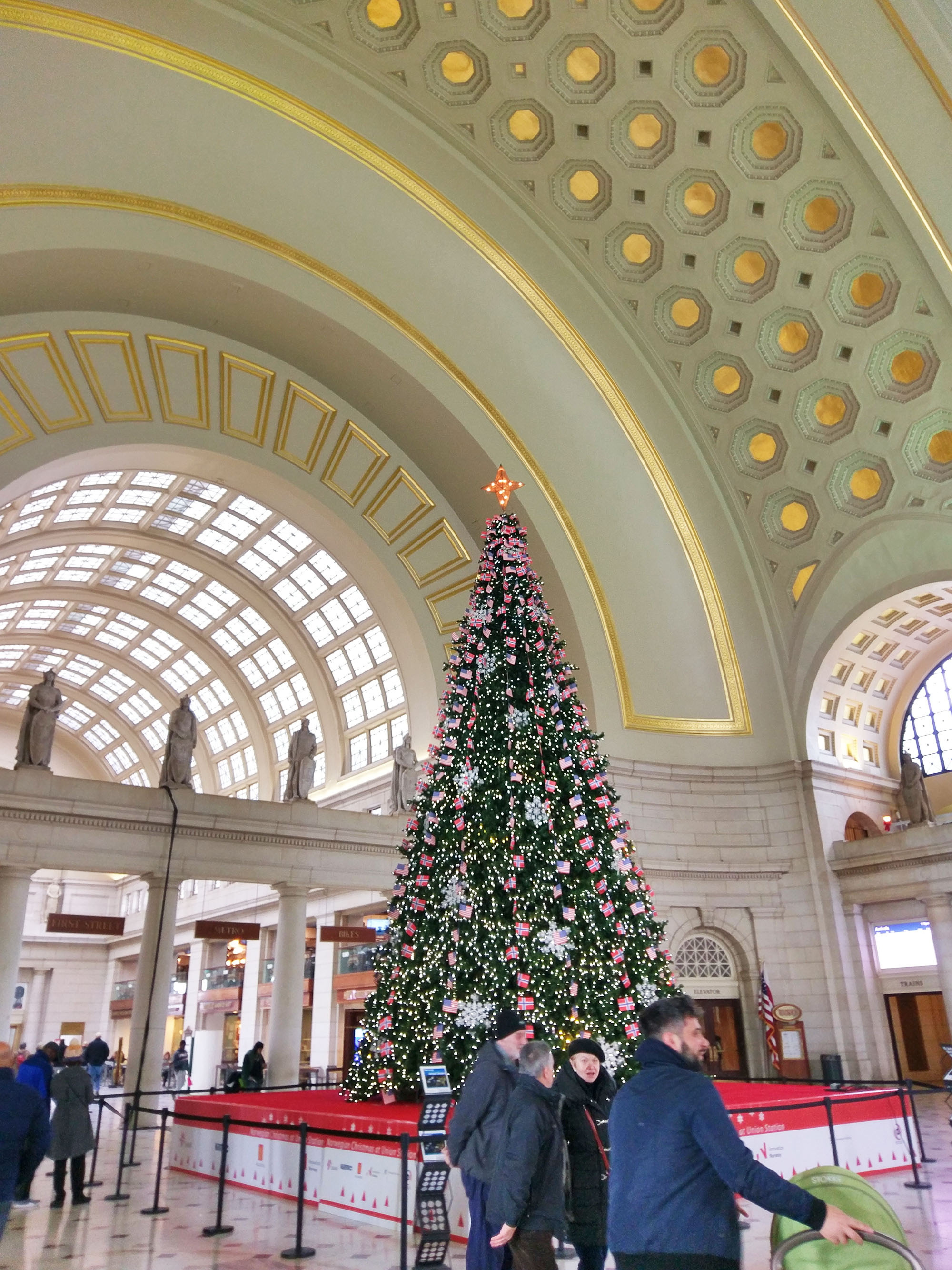 Norwegian Christmas Tree at Union Station